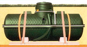 ghiro.jpg (11060 byte)